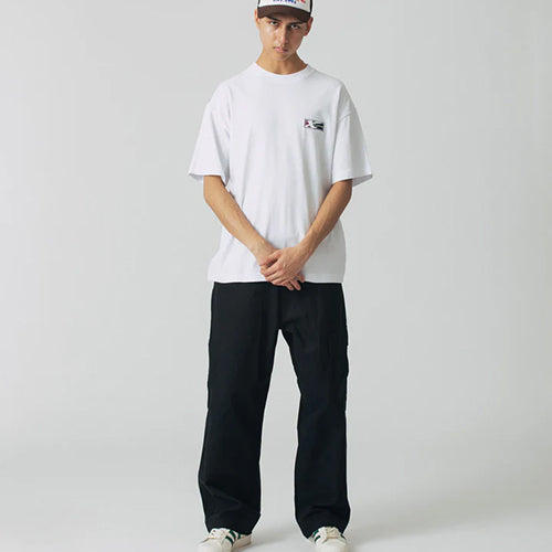 CROWN PAINTER PANTS