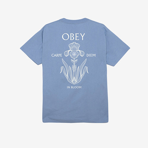 OBEY IRIS IN BLOOM