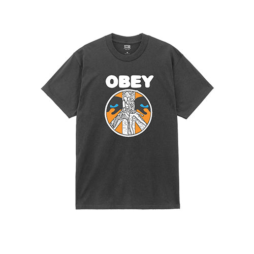 OBEY PSYCHIC YOUTH SYSTEMS