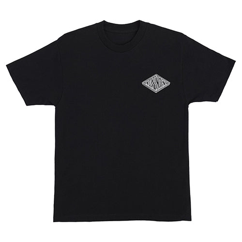 ANYTIME ANYPLACE ANYWHERE S/S HEAVYWEIGHT T-SHIRT