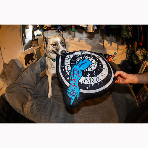 ROSKOPP TARGET PILLOW