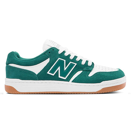 NM480 NDI