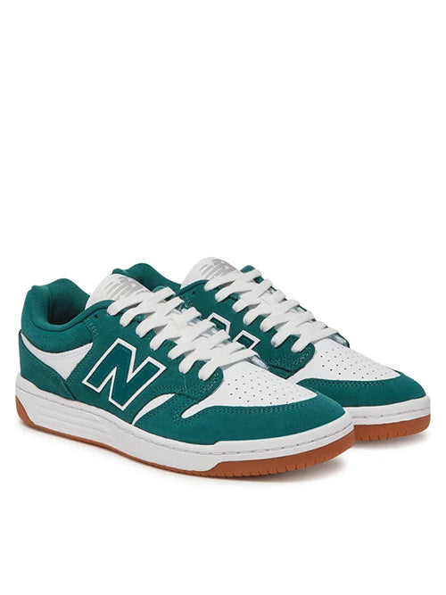 NM480 NDI